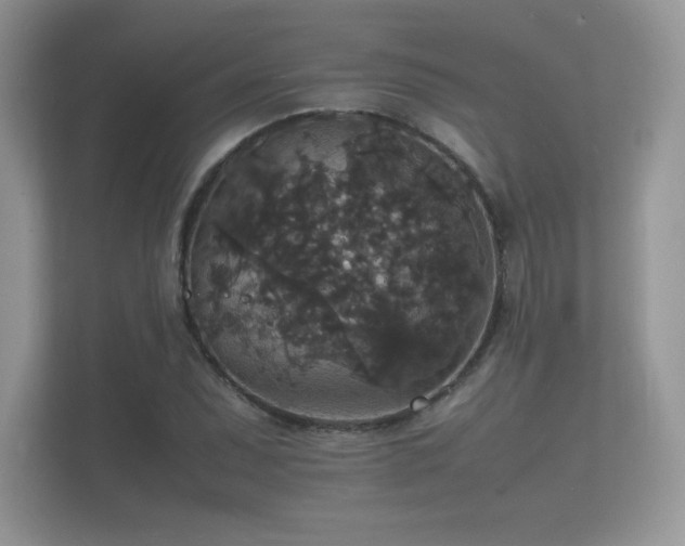 X0000112151071200908141210