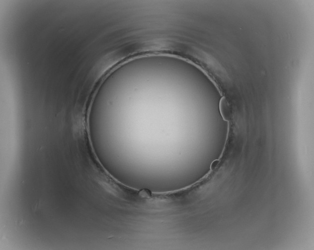 X0000112151073200908141210