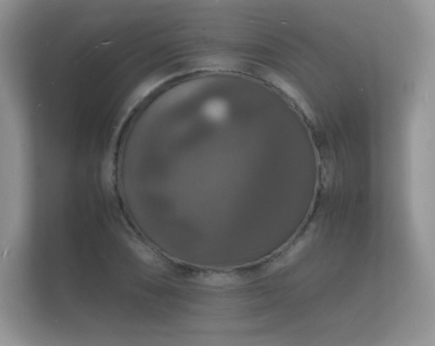 X0000112151074200908141210