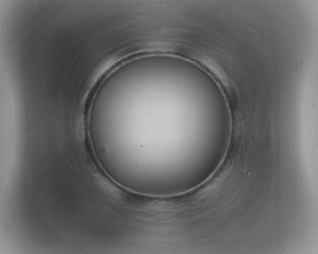 X0000112151075200908141210