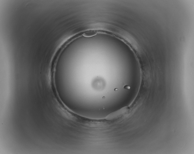 X0000112151076200908141210
