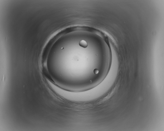 X0000112151077200908141210