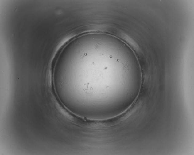 X0000112151079200908141210