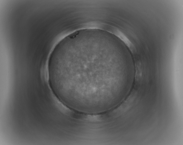 X0000112151080200908141210