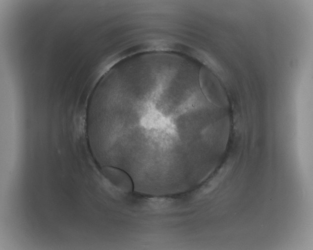 X0000112151081200908141210