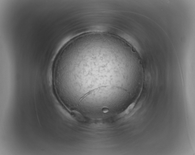 X0000112151083200908141210