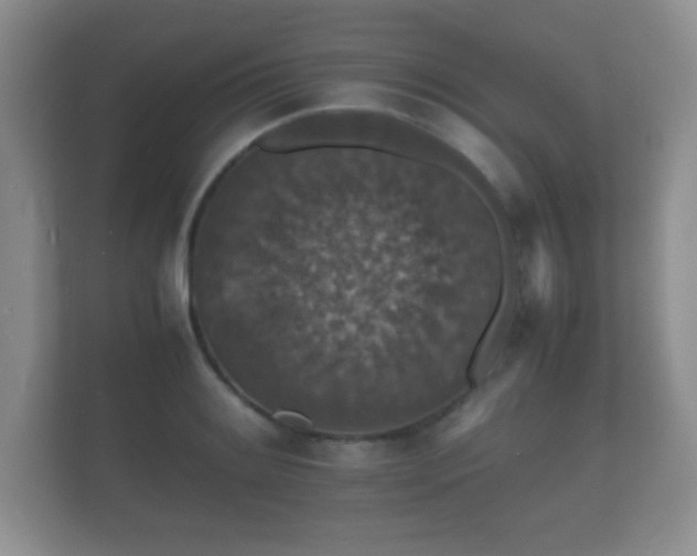 X0000112151084200908141210