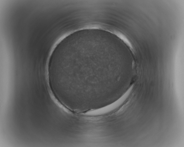 X0000112151088200908141210