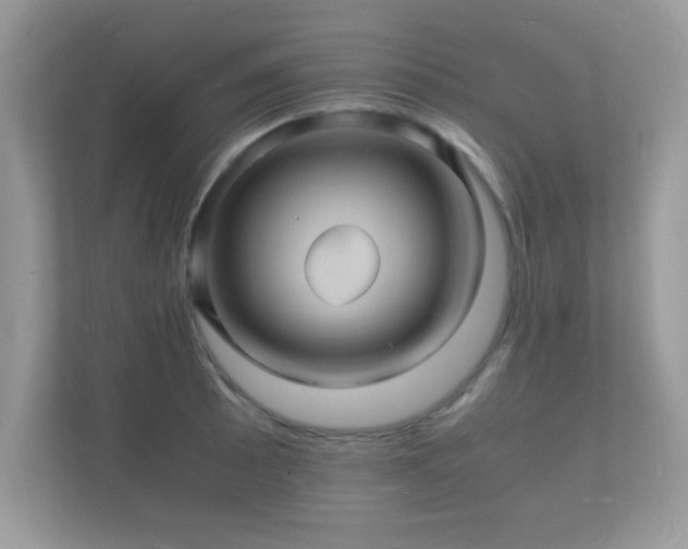 X0000112151089200908141210