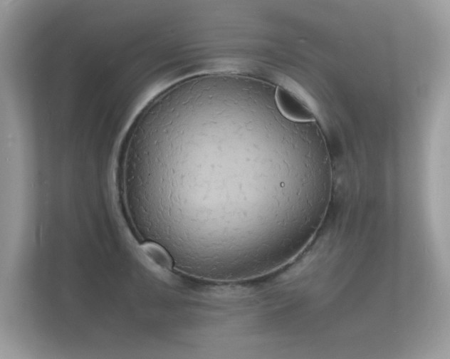 X0000112151091200908141210