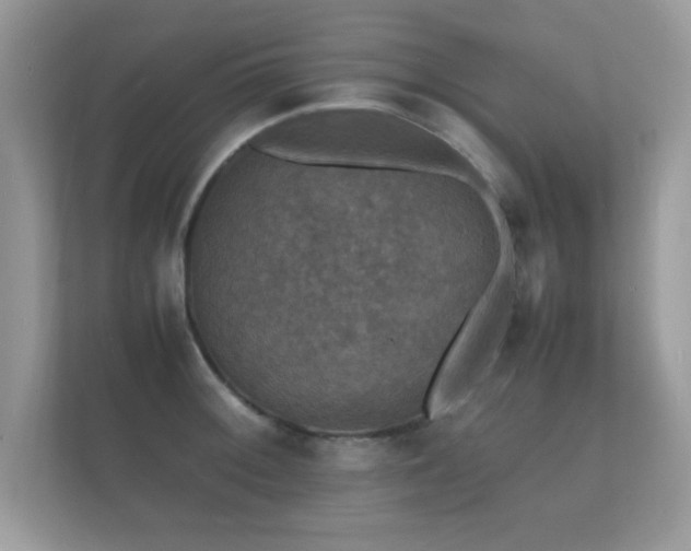 X0000112151092200908141209