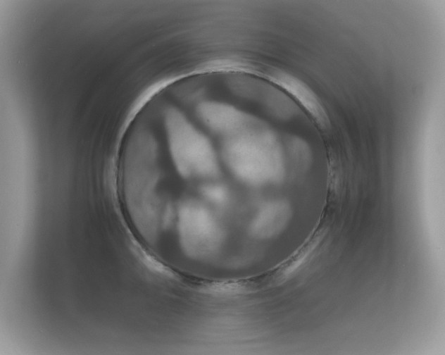 X0000112151094200908141209