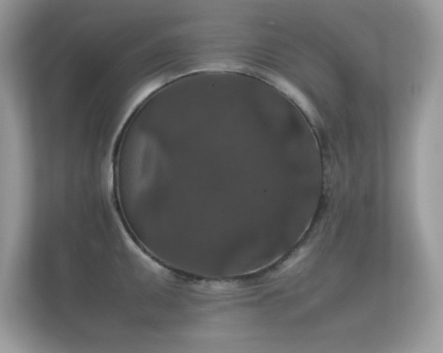 X0000112151095200908141209