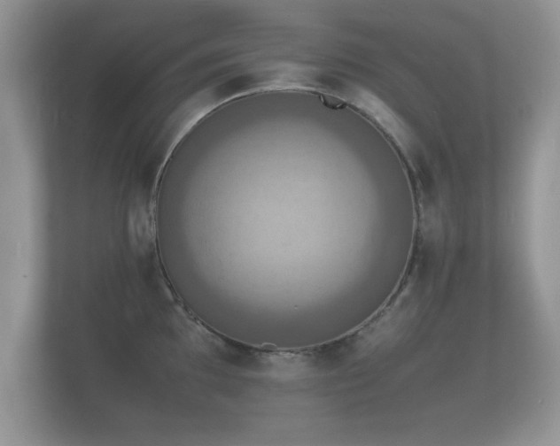 X0000112151097200908141209