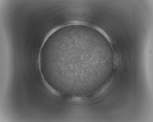 X0000112151098200908141209