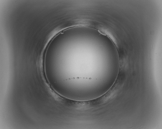 X0000112151099200908141209