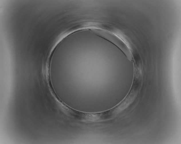 X0000112151101200908141209