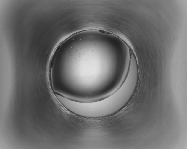 X0000112151104200908141209