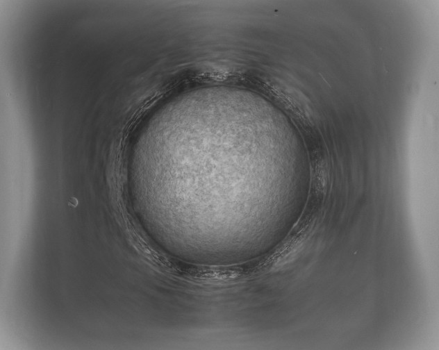 X0000112151105200908141209