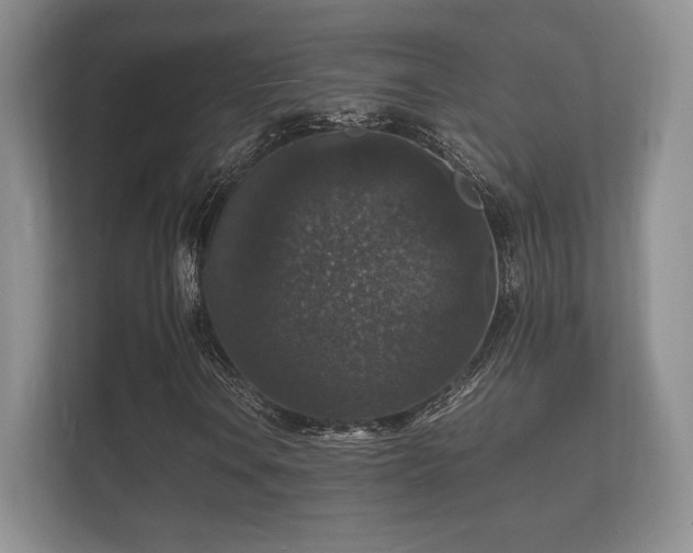 X0000112151106200908141209