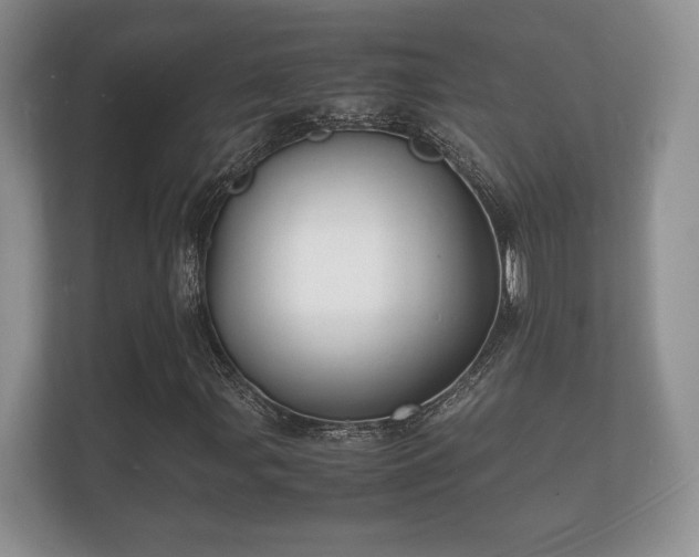 X0000112151107200908141209