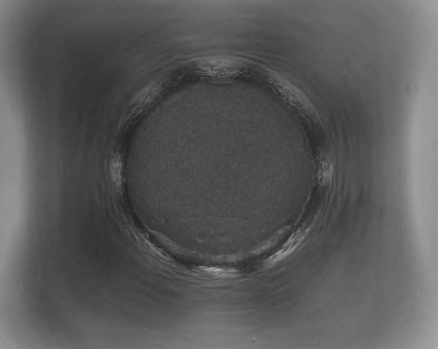 X0000112151108200908141209