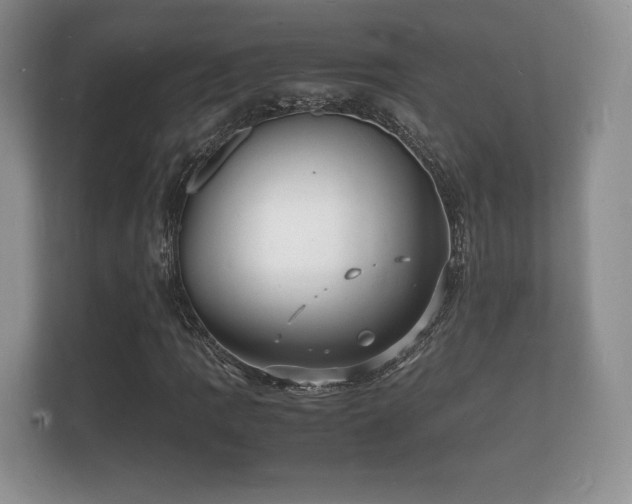 X0000112151109200908141209