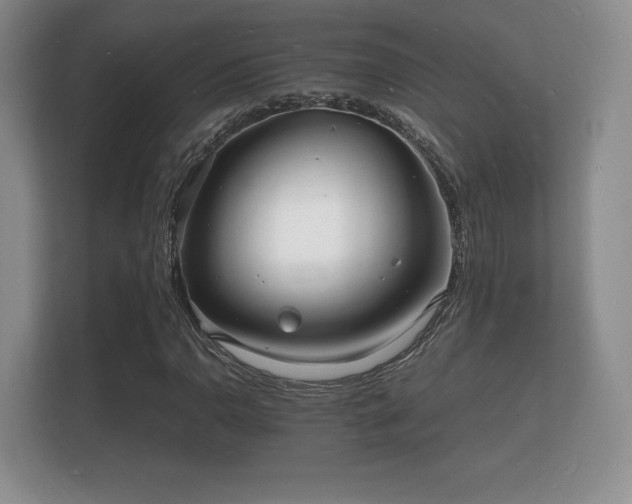 X0000112151110200908141209