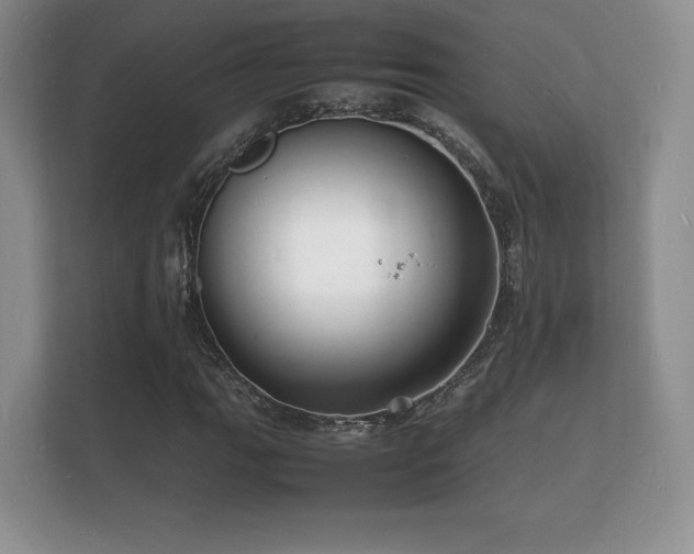 X0000112151111200908141209