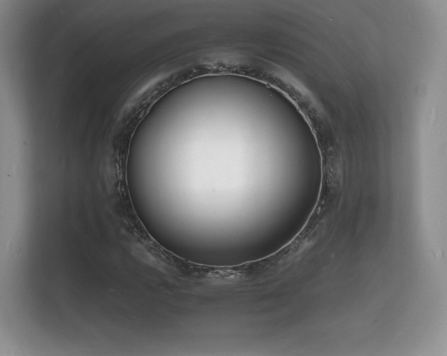 X0000112151112200908141209