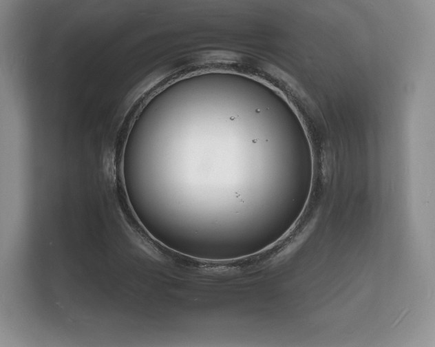 X0000112151113200908141209