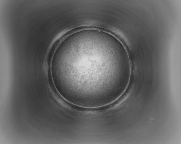 X0000112151114200908141209