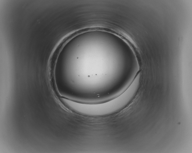 X0000112151116200908141209