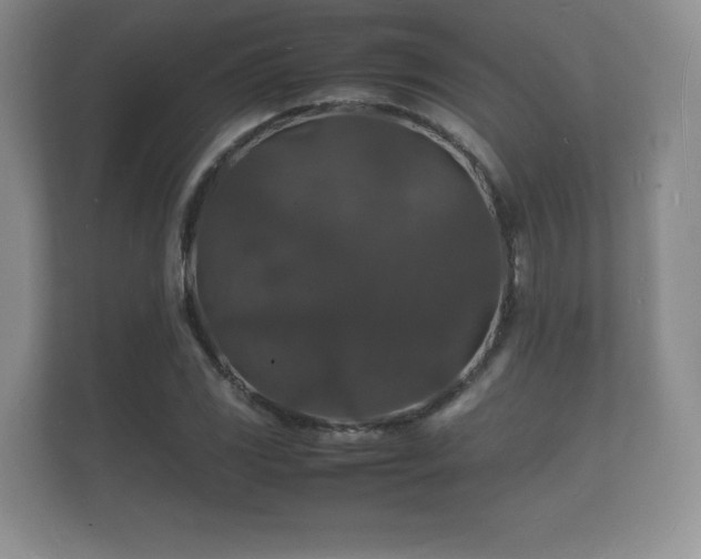 X0000112151117200908141209