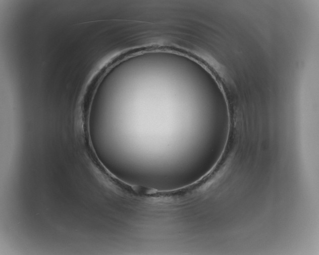 X0000112151118200908141209