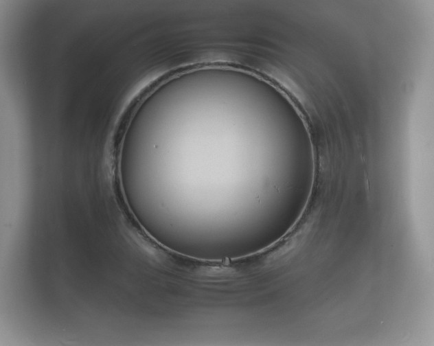 X0000112151119200908141209