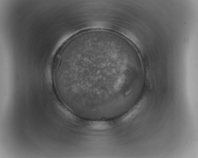 X0000112151120200908141209