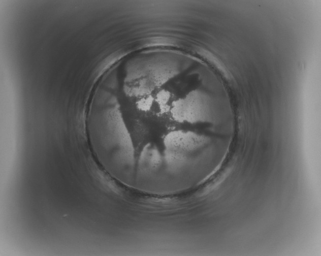 X0000112151121200908141209