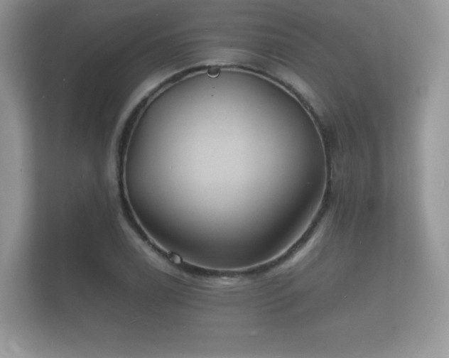 X0000112151122200908141209