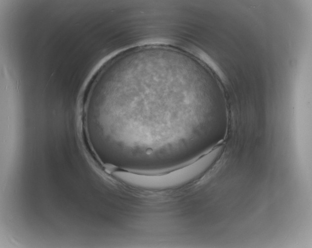 X0000112151124200908141209