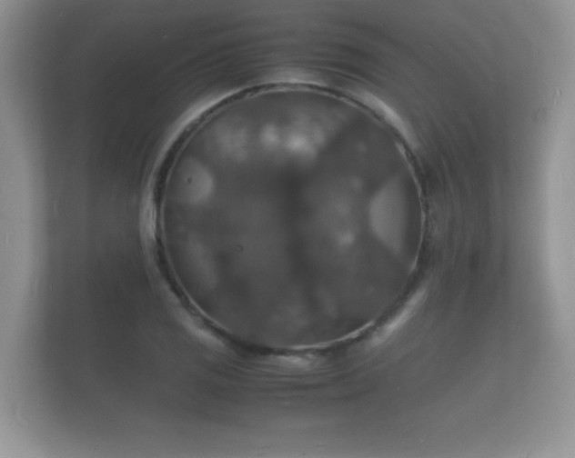 X0000112151125200908141209