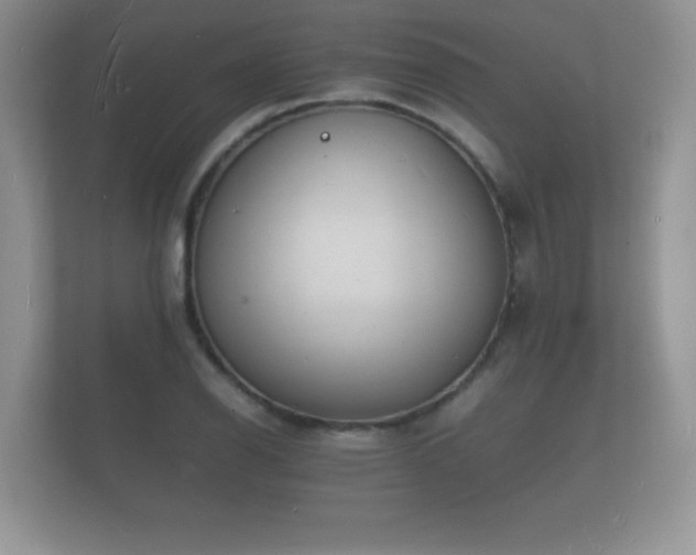 X0000112151126200908141209