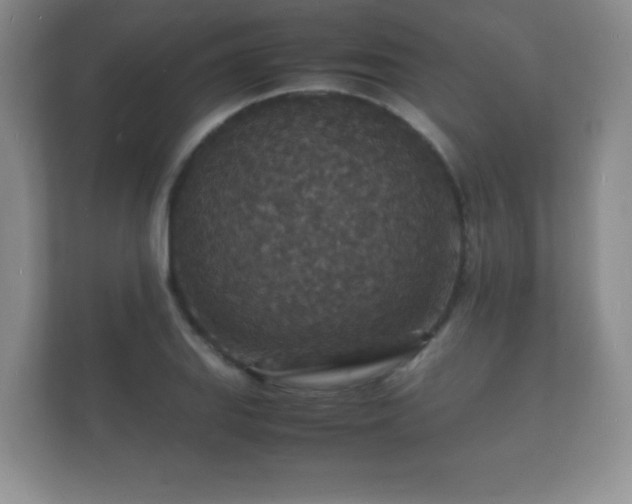 X0000112151127200908141209
