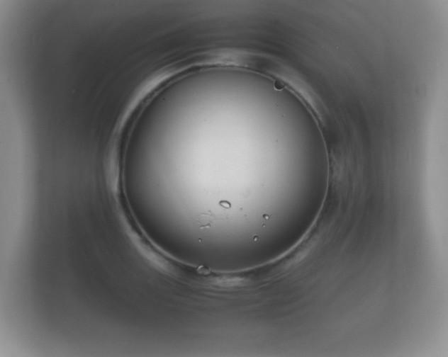 X0000112151131200908141209