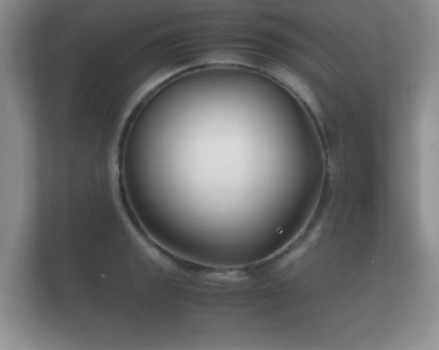 X0000112151133200908141209