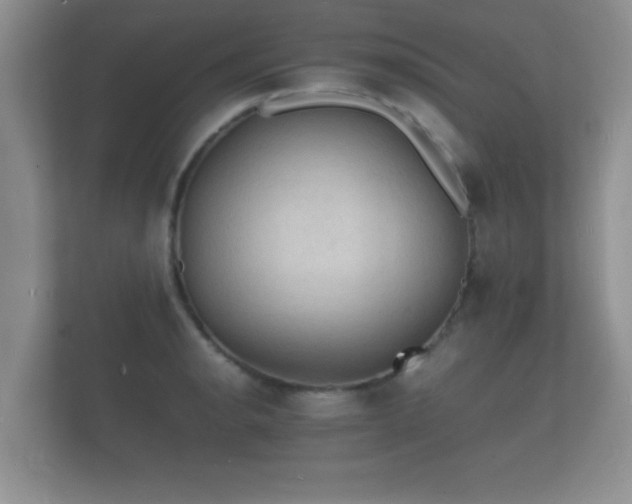 X0000112151134200908141209