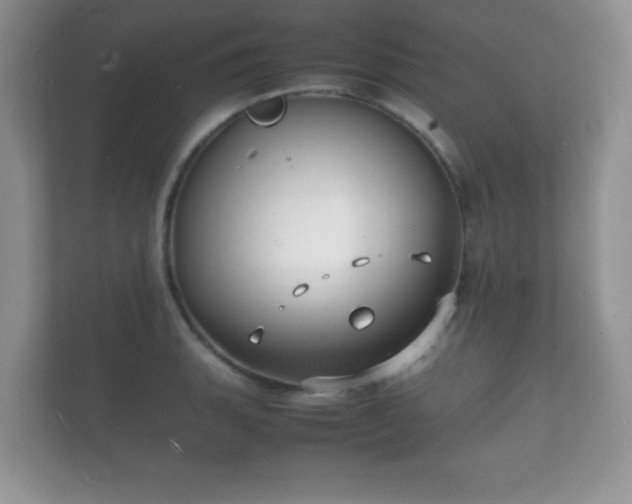X0000112151135200908141209