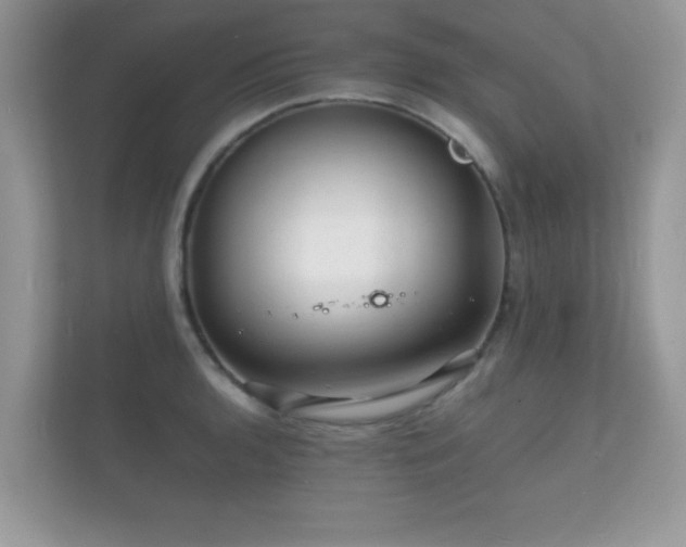 X0000112151136200908141209