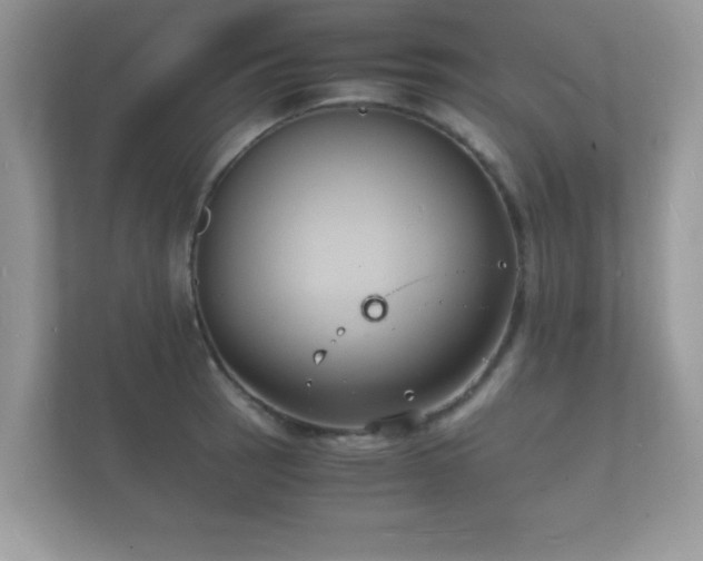 X0000112151137200908141209