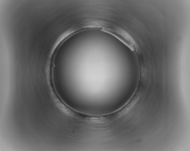 X0000112151138200908141209